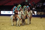 Quadrille - 00143